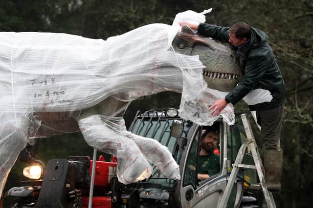 Gary Gilmour from Blair Drummond Safari Park unwraps and checks an Allosaurus after it arrived at the park for their new exhibition, World of Dinosaurs