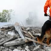 Some dogs have the ability to rescue victims trapped in buildings toppled by natural disasters.