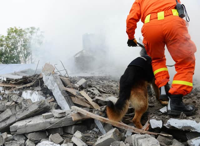 Some dogs have the ability to rescue victims trapped in buildings toppled by natural disasters.