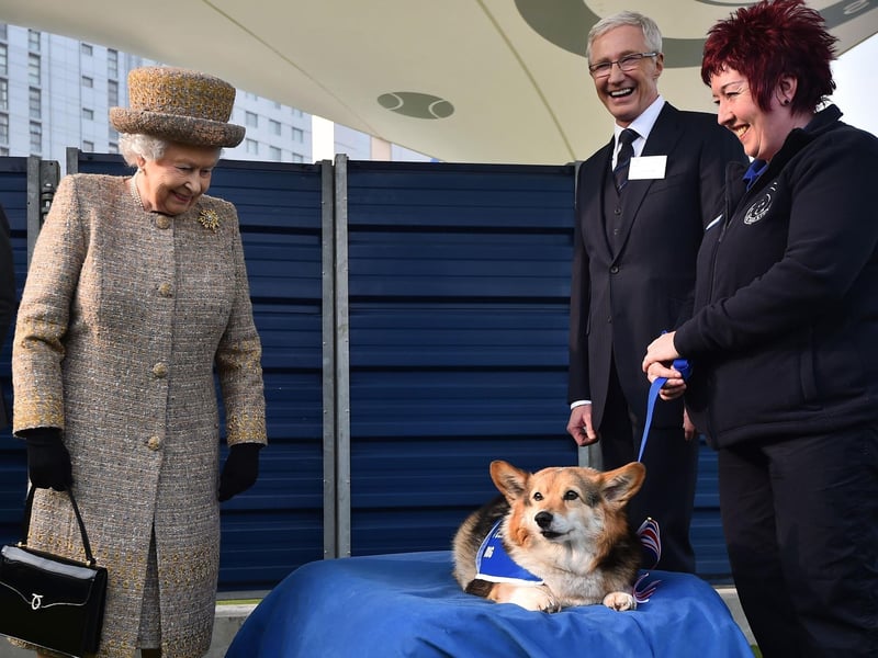 Queen Elizabeth II looking at a Corgi as Paul O'Grady looks on during a visit to Battersea Dogs and Cats Home in 2015