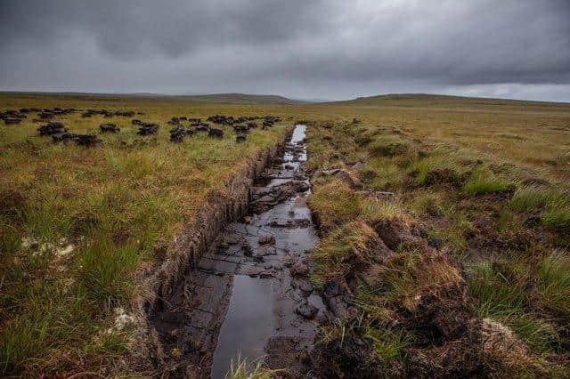 The A'Mhoine on the Moine Peninsula near Tongue in Sutherland, the proposed site for the planned spaceport, 'Space Hub Sutherland'. (Photo by Paul Campbell/Getty Images)