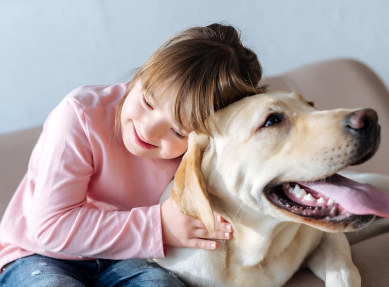 It'll come as no surprise to anybody who has owned a Labrador Retriever - the UK's most popular dog in 2020 - that they feature prominently in this list. They are famously gentle, loyal and very affectionate.