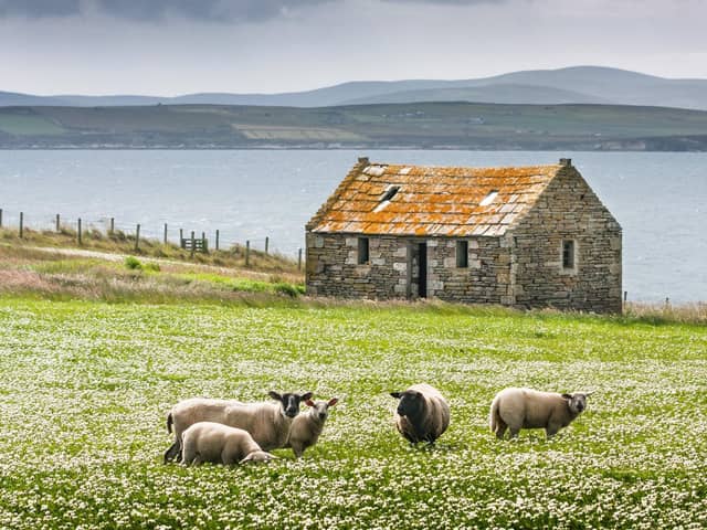 Depopulation is the most pressing issue for Scottish islanders. Picture: Getty Images