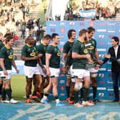 South Africa won the Rugby Championship last year as well as the World Cup. Picture: Marcelo Endelli/Getty Images