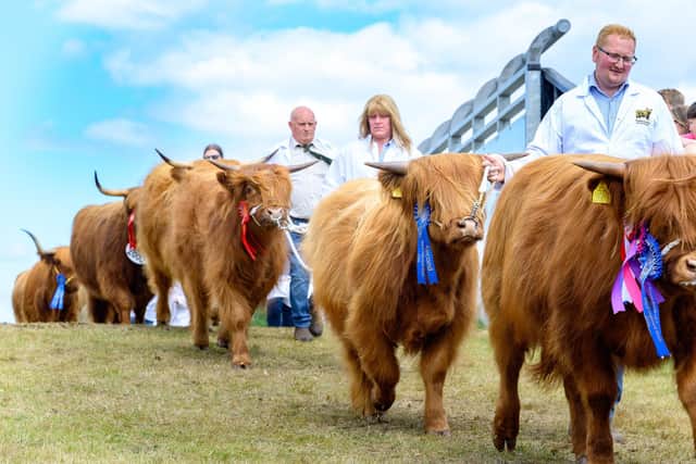 The Grand Parade at this year’s Royal Highland Show. The event attracted an audience of 210,000 over its four days (Picture: Ian Georgeson)