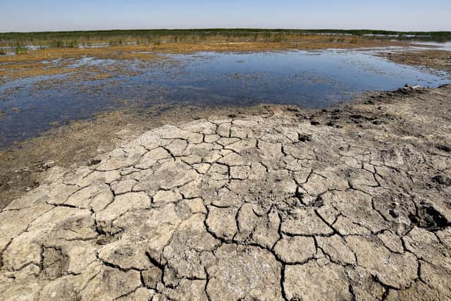 The Chibayesh marshland in Iraq's southern Ahwar area bakes in the summer heat (Picture: Asaad Niazi/AFP via Getty Images)