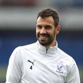 Crystal Palace midfielder Luka Milivojevic. Picture: Getty