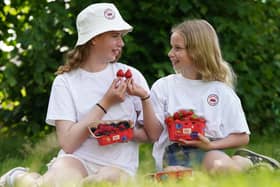Alexa King, age 10 and Erica King age 8