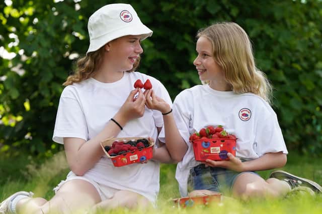 Alexa King, age 10 and Erica King age 8