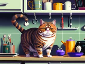 Image: Adobe Stock