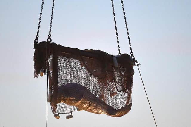 Rescuers pull up a net after they rescued a beluga whale stranded in the River Seine to bring it into a truck to drive it towards Ouistreham (Calvados), at Notre Dame de la-Garenne, northern France, on August 10, 2022.