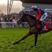 Kitty's Light, who is among the pre-race favourites for Saturday's Coral Scottish Grand National at Ayr Racecourse.