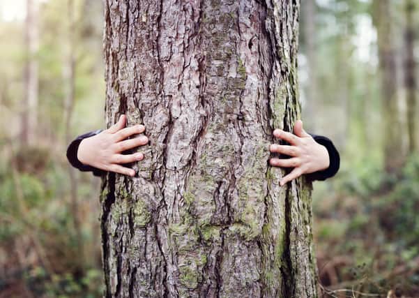 Tree hugging: Planting more trees and then felling some of them will help Scotland boost biodiversity