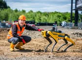Robots can address real-life human problems