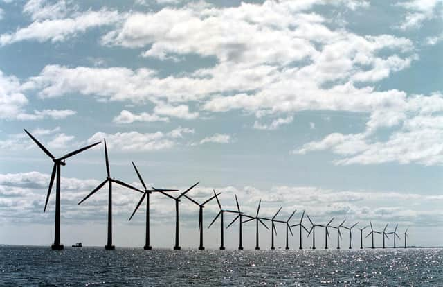 Offshore wind energy has a bright future as the world moves to net-zero carbon emissions (Picture: Soeren Bidstrup/AFP via Getty Images)