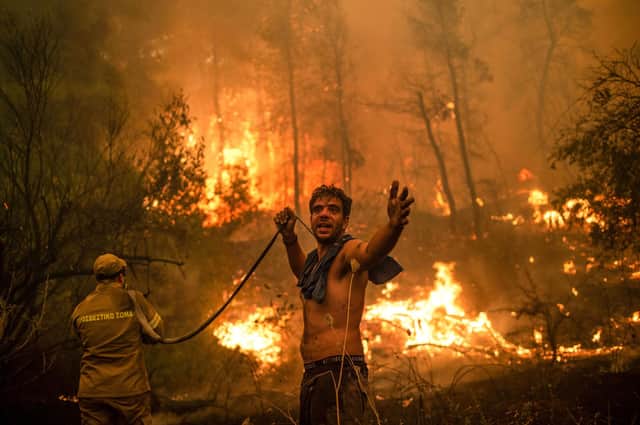 A local resident gestures for help as he tries to tackle a wildfire approaching the village of Pefki on Evia island in Greece. No water is getting through to the hosepipe (Picture: Angelos Tzortzinis/AFP via Getty Images)