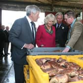 Founded in 1953 and based in Stromness, Orkney Fishermen’s Society was created as a co-operative by local fishermen to process and market their own produce to local and mainland customers.