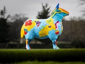 Flower power brings rock star moves to Royal Highland Show