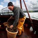Keir Starmer's team has negotiated a bad deal for Britain's fishermen, believes reader (Picture: Jeff J Mitchell/Getty Images)