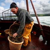 Keir Starmer's team has negotiated a bad deal for Britain's fishermen, believes reader (Picture: Jeff J Mitchell/Getty Images)