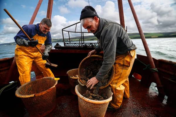Keir Starmer's team has negotiated a bad deal for Britain's fishermen, believes reader (Picture: Jeff J Mitchell/Getty Images)