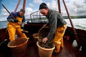 Keir Starmer's team has negotiated a bad deal for Britain's fishermen, believes reader (Picture: Jeff J Mitchell/Getty Images)