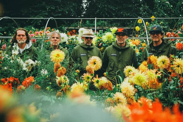 Super Furry Animals.