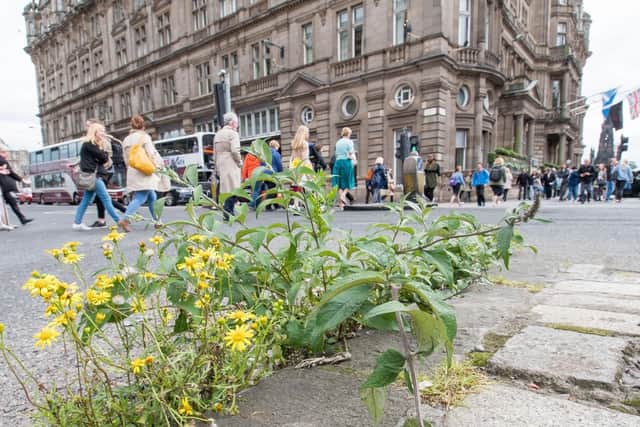 A major rethink has been ordered for Edinburgh city centre to avoid it slipping into further decline.