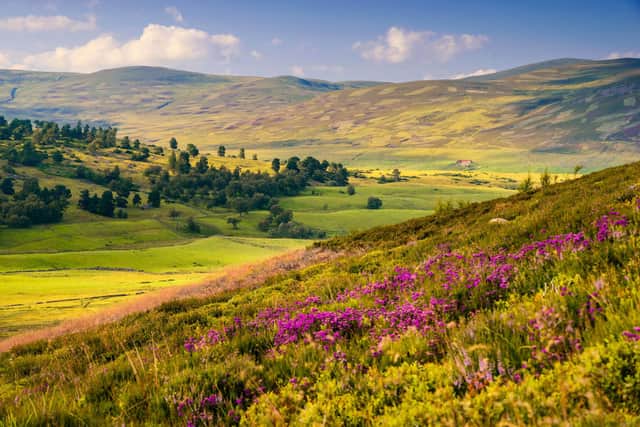 Visit the highest village in the Highlands at 1164 ft, where a pleasant stop off can be had. It was built by the Duke of Gordon in the 18th Century