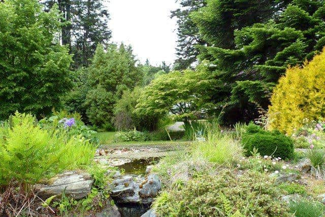 Garden space in Scotland