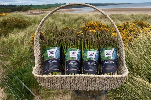 Lunan bay asparagus