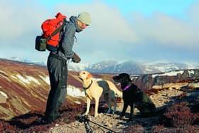 Sports commentator, author and 'Food Source' Andrew Cotter with Olive and Mabel in the Cairngorms. The trio are due to appear at this year's Boswell Book Festival and the Borders Book Festival and his latest book, Dog Days: A Year with Olive & Mabel, is out now. Pic: Nick Hanson