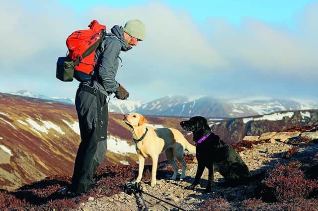 Sports commentator, author and 'Food Source' Andrew Cotter with Olive and Mabel in the Cairngorms. The trio are due to appear at this year's Boswell Book Festival and the Borders Book Festival and his latest book, Dog Days: A Year with Olive & Mabel, is out now. Pic: Nick Hanson