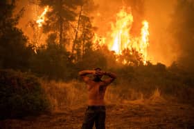 As wildfires and other symptoms of global warming become an increasing problem, the next international summit on the issue, COP28, will be run by an oil industry executive. Picture: Angelos Tzortzinis/AFP via Getty Images