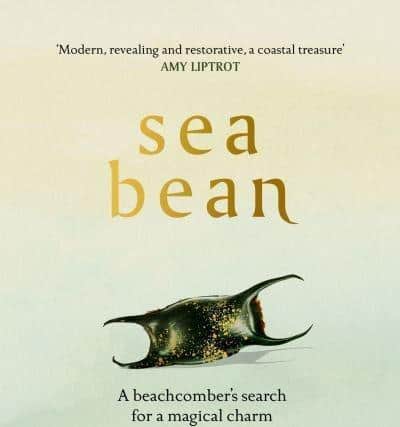 Sea Bean, by Sally Huband