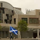Only people with relevant experience should be able to be MSPs at the Scottish Parliament, says reader (Picture: Jeff J Mitchell/Getty Images)