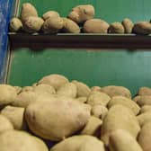 The supply of the consignment of seed potatoes to Russia had drawn considerable criticism