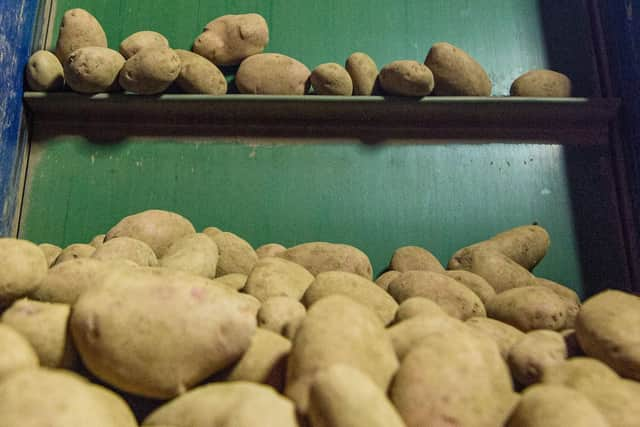 The supply of the consignment of seed potatoes to Russia had drawn considerable criticism