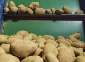 The supply of the consignment of seed potatoes to Russia had drawn considerable criticism
