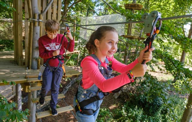 Go ape site at Dalkeith