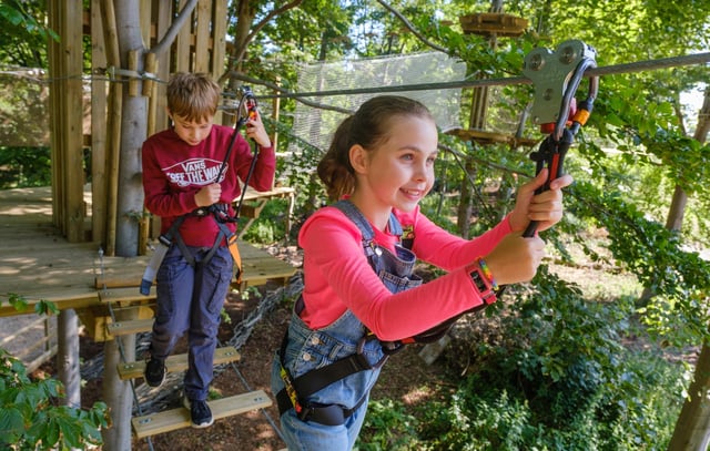 We Brave The Heights And Swear In Front Of Small Children At Dalkeith Country Park S New Branch Of Go Ape The Scotsman