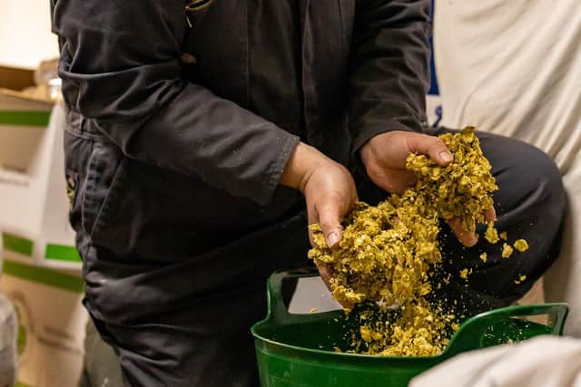 Some of the hops used in the craft beer produced at St David’s Old Farmhouse Brewery, St David's, Pembrokeshire. Pic: Contributed