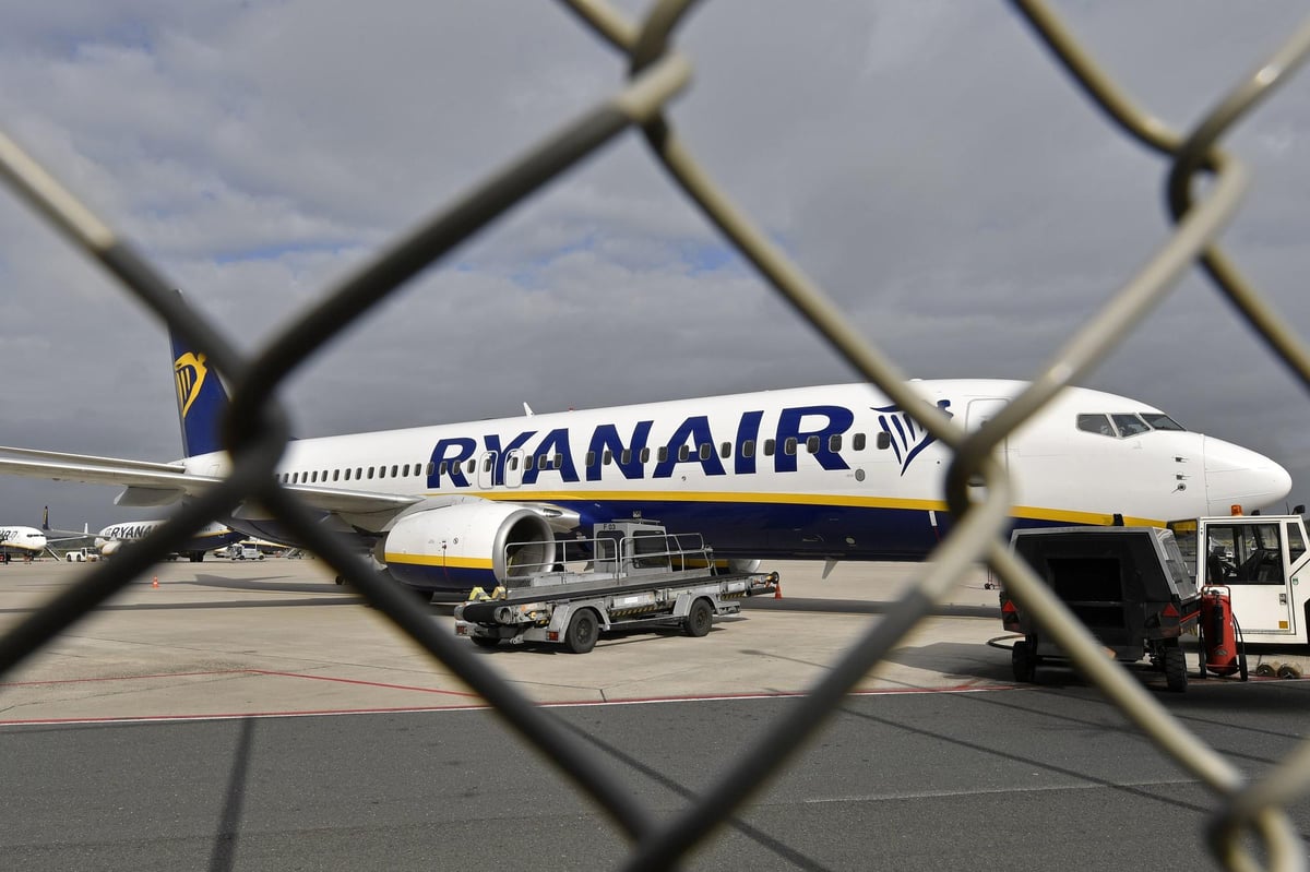 Analysis: Ryanair flying high with perfect business model for turbulent times