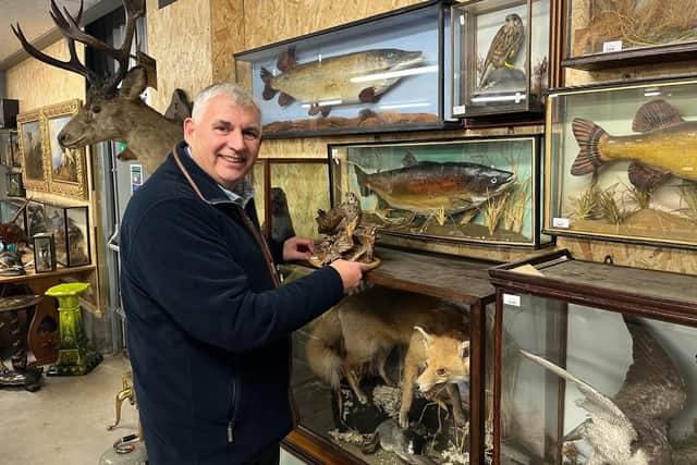 Auctioneer Iain Smith with some of the taxidermy that will come up for sale at his Perth auction house next week. PIC: Contributed.