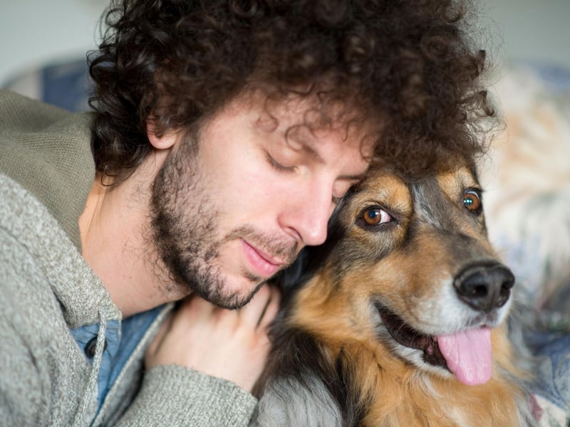 There's no better welcome home than from your four-legged friend, and while the out-of-control display of affection that includes plenty of other behaviours on this list can seem over the top , it's a sure-fire way to know you're loved. This is particularly the case if you've just popped out for five minutes but are greeted like a hero returning from war.