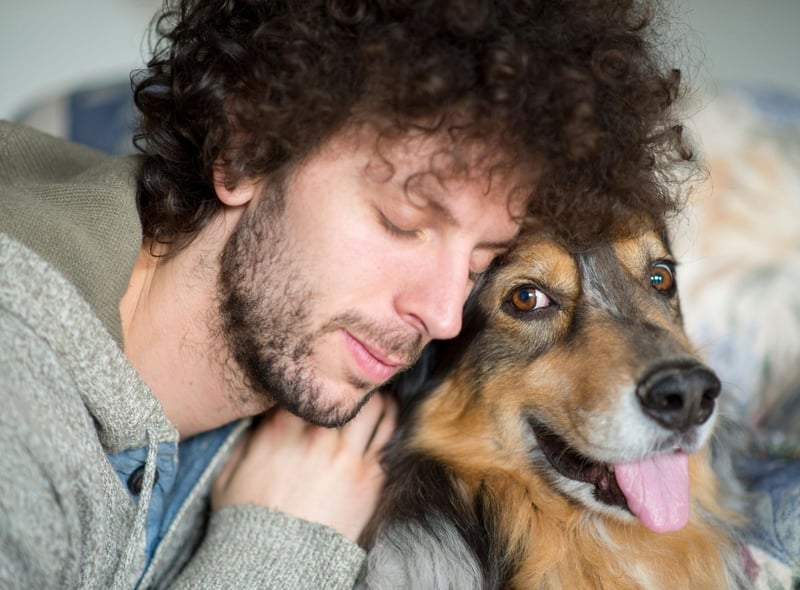 There's no better welcome home than from your four-legged friend, and while the out-of-control display of affection that includes plenty of other behaviours on this list can seem over the top , it's a sure-fire way to know you're loved. This is particularly the case if you've just popped out for five minutes but are greeted like a hero returning from war.