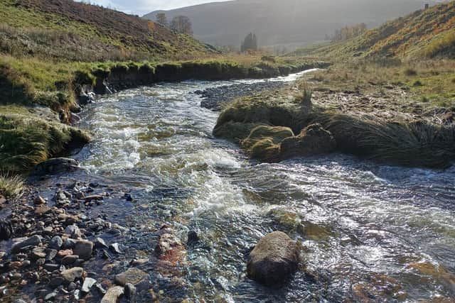 Nature is depleted across the 3,500-hectare Glen Prosen estate, which was previously run as a sporting business, but now there are plans to restore habitats and boost resilience against climate change in a way that will also benefit people