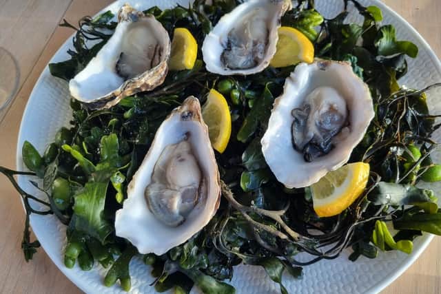 The Carlingford oysters at The Lookout