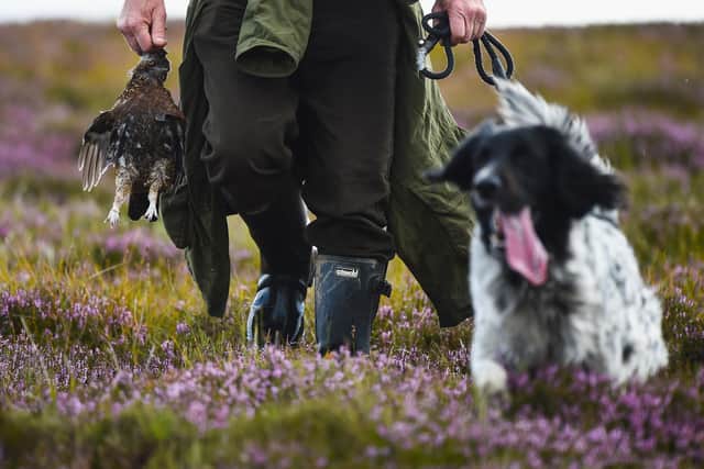 The vast majority of grouse moor land managers take great care to comply with the law, says Ross Ewing (Picture: Jeff J Mitchell/Getty Images)
