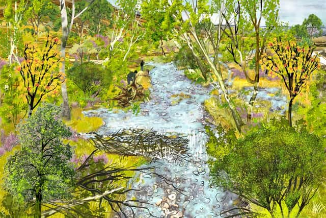 This picture shows how the same river could look after 50 years if restoration work is carried out – a nature-rich environment with planting and features that help boost wildlife and tackle climate change